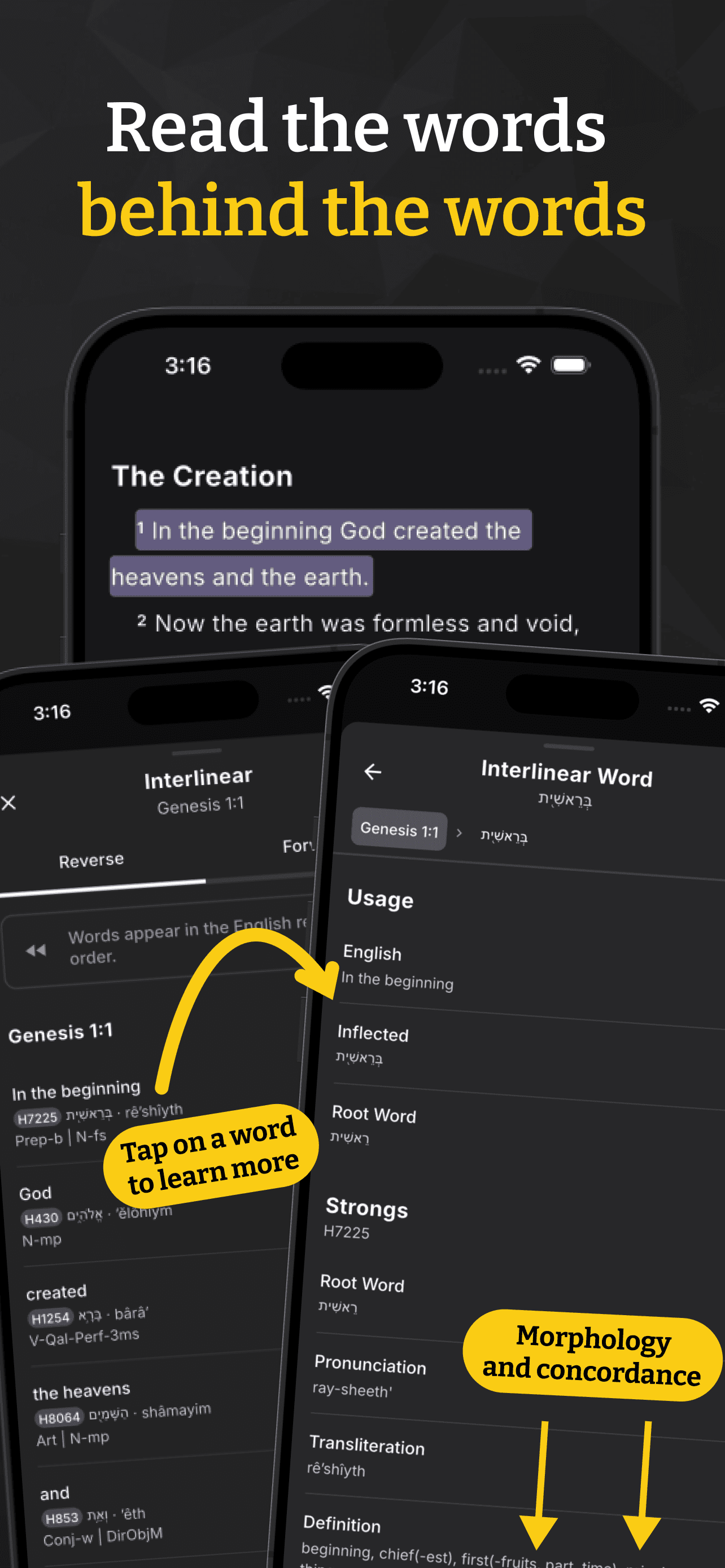 Lux Bible reading experience